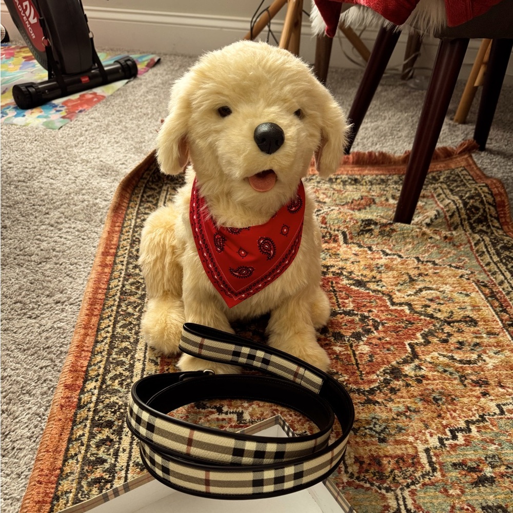 Burberry Cream and Black Dog Leash - NEW